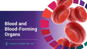 Clinical Foundations: A&P - Blood and Blood-Forming Organs