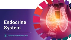 Clinical Foundations: A&P - Endocrine System