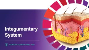 Clinical Foundations: A&P - Integumentary System