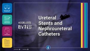 Knowledge Bytes: Ureteral Stents and Nephroureteral Catheters