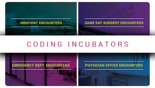 Coding Incubators