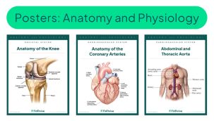 Resource Center: Anatomy and Physiology